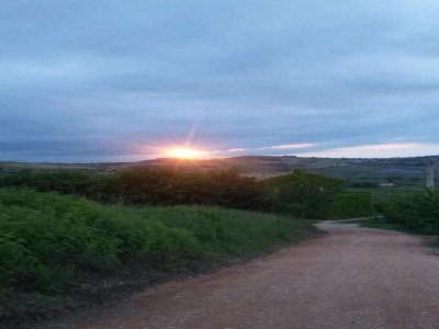 Holiday house Holiday Home in Cossignano with Pool - Environment photo 36