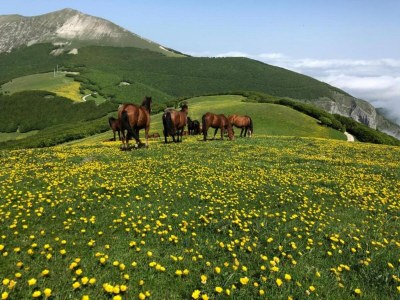 Villa Ruhige Villa, friedliche Pergola - Environment photo 20