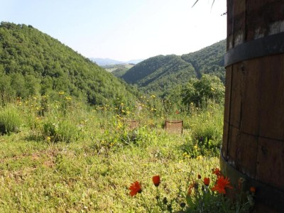 Villa Ruhige Villa, friedliche Pergola - Environment photo 23