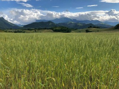 Villa Ruhige Villa, friedliche Pergola - Environment photo 25