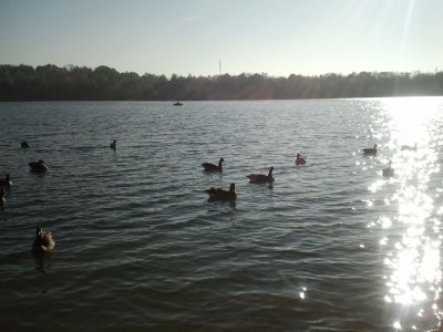 Holiday apartment Kaufmann - Environment photo 20