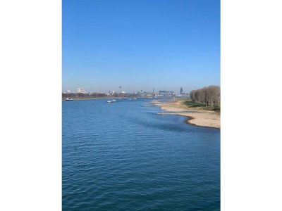 Holiday apartment Kaufmann - Environment photo 22