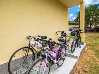 Villa Nino - Environment photo 20