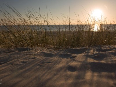 Holiday apartment Zeezicht 29 - Environment photo 28