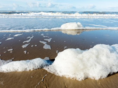 Holiday apartment Zeezicht 29 - Environment photo 30