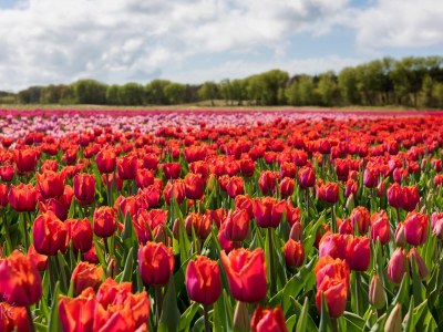 Holiday apartment Zeezicht 29 - Environment photo 33