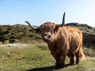 Holiday apartment Zeezicht 29 - Environment photo 35