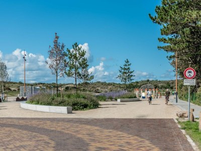 Holiday apartment Bongerd 17 - Environment photo 24