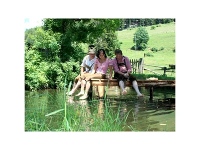 Holiday apartment Helmut alpine hut in St. Margarethen - Holiday apartment