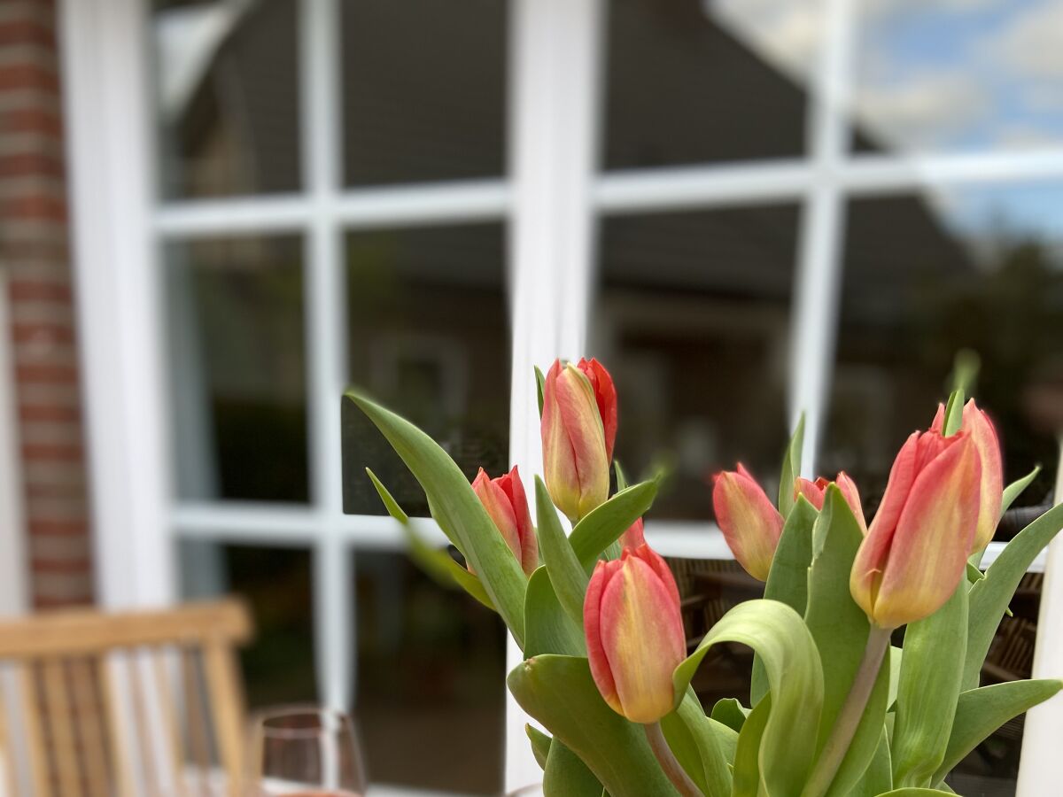 Holiday apartment "Im Moorhof" - Outdoor photo 3