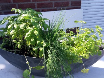 Holiday apartment "Im Moorhof" - Outdoor photo 4