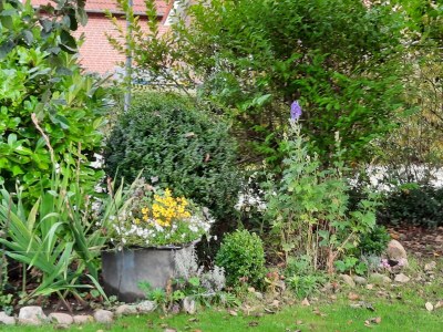 Holiday apartment "Im Moorhof" - Outdoor photo 7