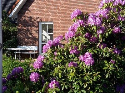 Holiday apartment "Im Moorhof" - Outdoor photo 8