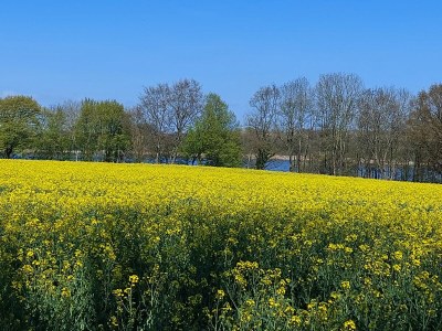 Holiday apartment "Im Moorhof" - Environment photo 28