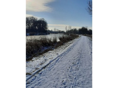 Holiday apartment "Im Moorhof" - Environment photo 29