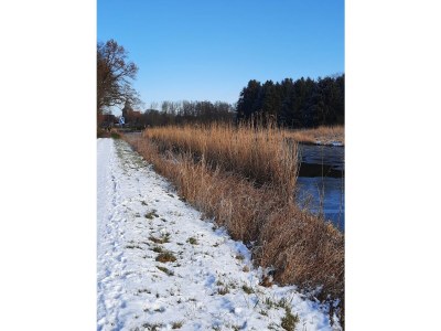 Holiday apartment "Im Moorhof" - Environment photo 30