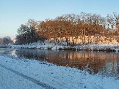 Holiday apartment "Im Moorhof" - Environment photo 31