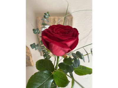 Holiday apartment No title - Document photo 41