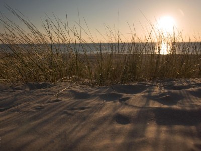 Holiday apartment Sterflat 175 - Environment photo 31