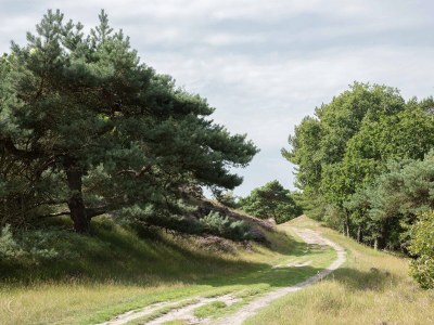 Holiday apartment Sterflat 175 - Environment photo 39