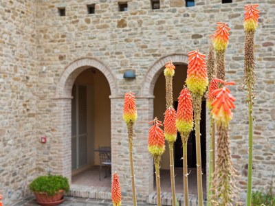 Villa Villa in Belforte near Sasso Simone Park - Outdoor photo 3