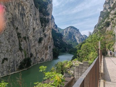 Holiday house Tranquil Retreat with Valley Views - Environment photo 18