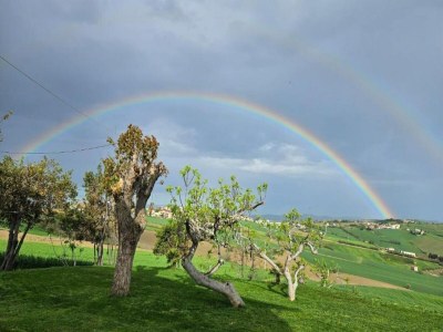 Holiday house Tranquil Retreat with Valley Views - Environment photo 20