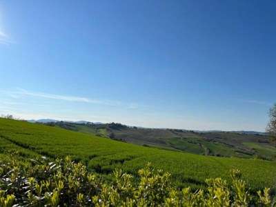 Holiday house Tranquil Retreat with Valley Views - Environment photo 21