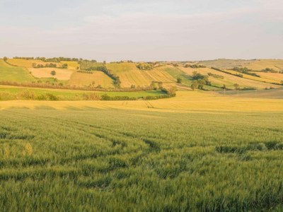 Holiday house Tranquil Retreat with Valley Views - Environment photo 22