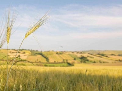 Holiday house Tranquil Retreat with Valley Views - Environment photo 24