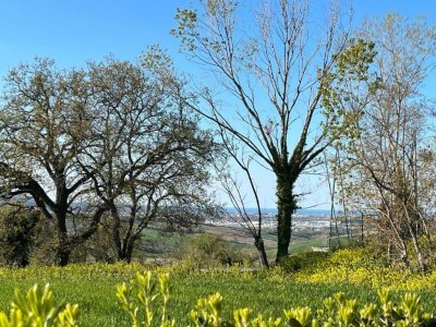 Holiday house Tranquil Retreat with Valley Views - Environment photo 26