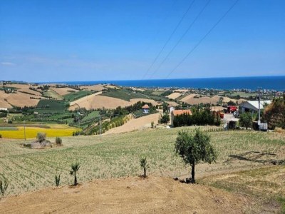 Holiday house Tranquil Retreat with Valley Views - Environment photo 27