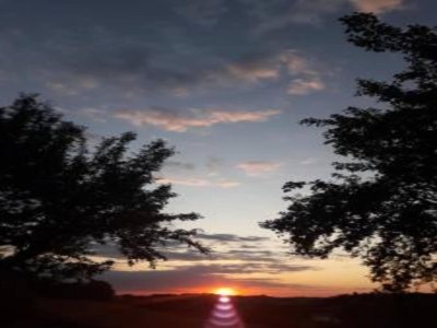 Holiday house Tranquil Retreat with Valley Views - Environment photo 28