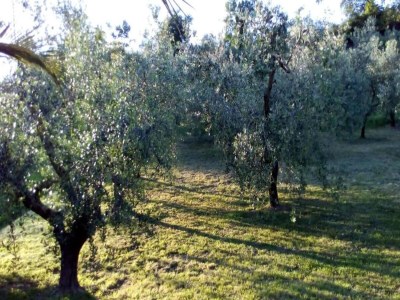 Holiday house Ferienhaus in Fano nahe Adria - Environment photo 27