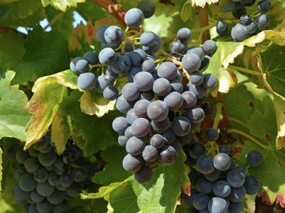 Apartment Glückseliger Aufenthalt in Mandourelle - Outdoor photo 38