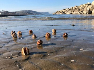 Holiday house Ferienhaus in Fano nahe dem Meer - Environment photo 24
