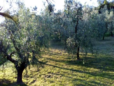 Holiday house Ferienhaus in Fano nahe dem Meer - Environment photo 25
