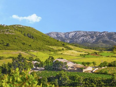 Apartment Peaceful Retreat in Villesèque - Environment photo 27