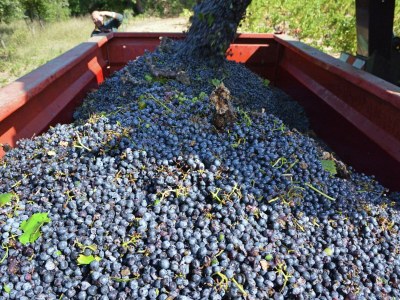 Apartment Peaceful Retreat in Villesèque - Outdoor photo 40