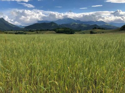 Holiday house Ferienhaus in Fano nahe Adria - Environment photo 32