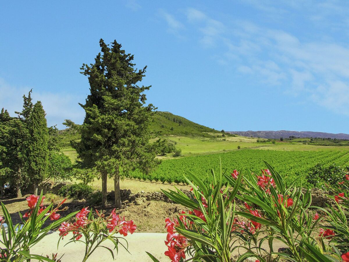 Apartment Ruhiger Aufenthalt in Villesèque - Outdoor photo 3