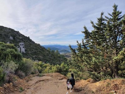 Apartment Ruhiger Aufenthalt in Villesèque - Environment photo 35
