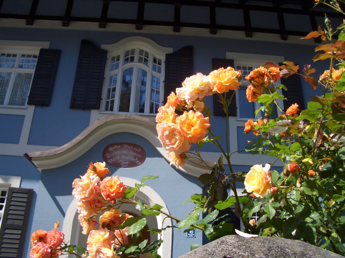 Holiday apartment "Blaues Haus" - Outdoor photo 5