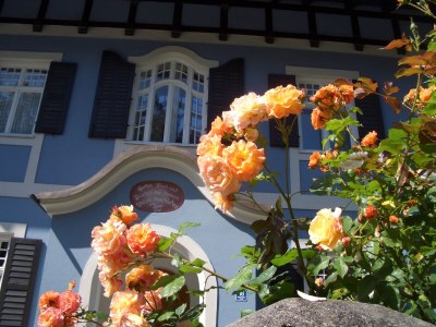 Holiday apartment "Blaues Haus" - Outdoor photo 5