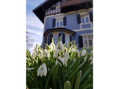 Holiday apartment "Blaues Haus" - Outdoor photo 8