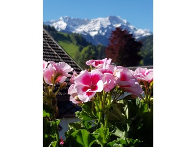 Holiday apartment "Blaues Haus" - Outdoor photo 12