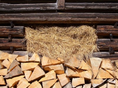 Holiday apartment "Blaues Haus" - Environment photo 34