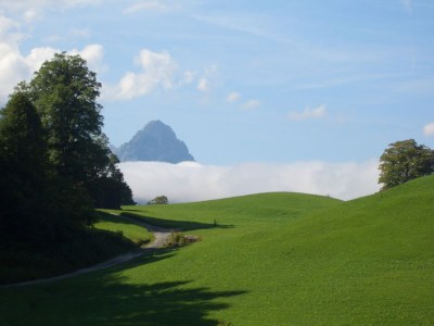 Holiday apartment "Blaues Haus" - Environment photo 35