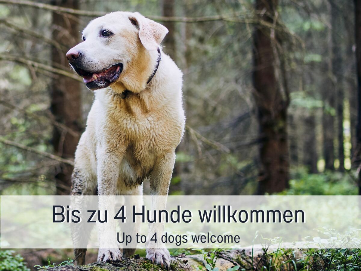 Holiday house Black Forest - Outdoor photo 4