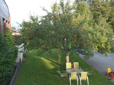 Holiday apartment StÃ¶ckl - Outdoor photo 8